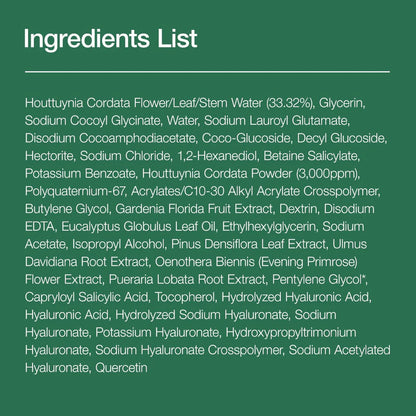 Heartleaf Quercetinol Pore Deep Cleansing Foam 150ml